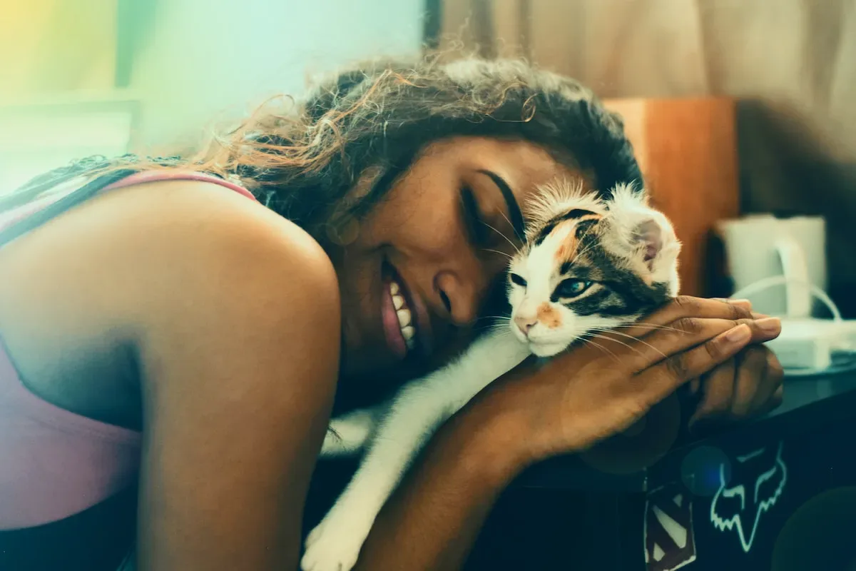 The Power Of Comfort: Enhancing Cats' Well-Being To Reduce Nighttime Vocalizations
