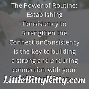 The Power of Routine: Establishing Consistency to Strengthen the ConnectionConsistency is the key to building a strong and enduring connection with your feline companion.