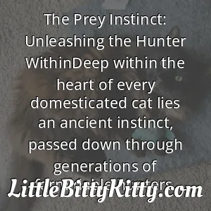 The Prey Instinct: Unleashing the Hunter WithinDeep within the heart of every domesticated cat lies an ancient instinct, passed down through generations of formidable hunters.