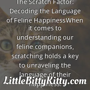 The Scratch Factor: Decoding the Language of Feline HappinessWhen it comes to understanding our feline companions, scratching holds a key to unraveling the language of their happiness.