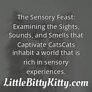 The Sensory Feast: Examining the Sights, Sounds, and Smells that Captivate CatsCats inhabit a world that is rich in sensory experiences.