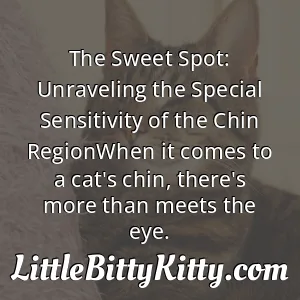 The Sweet Spot: Unraveling the Special Sensitivity of the Chin RegionWhen it comes to a cat's chin, there's more than meets the eye.