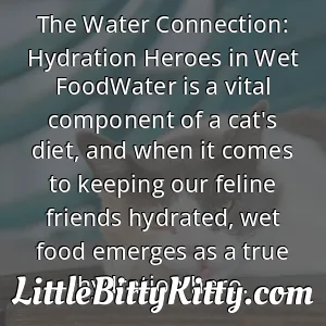 The Water Connection: Hydration Heroes in Wet FoodWater is a vital component of a cat's diet, and when it comes to keeping our feline friends hydrated, wet food emerges as a true hydration hero.