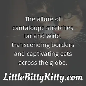 The allure of cantaloupe stretches far and wide, transcending borders and captivating cats across the globe.