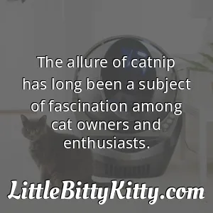 The allure of catnip has long been a subject of fascination among cat owners and enthusiasts.