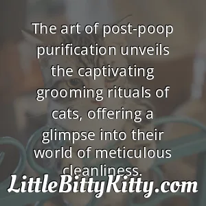 The art of post-poop purification unveils the captivating grooming rituals of cats, offering a glimpse into their world of meticulous cleanliness.
