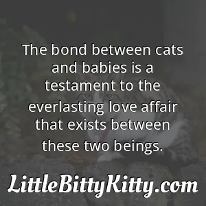 The bond between cats and babies is a testament to the everlasting love affair that exists between these two beings.