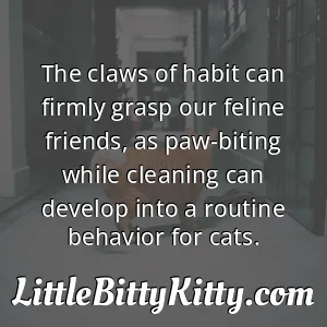 The claws of habit can firmly grasp our feline friends, as paw-biting while cleaning can develop into a routine behavior for cats.