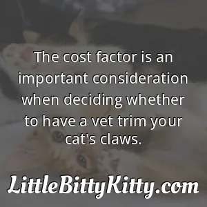 The cost factor is an important consideration when deciding whether to have a vet trim your cat's claws.