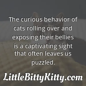 The curious behavior of cats rolling over and exposing their bellies is a captivating sight that often leaves us puzzled.