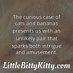 The curious case of cats and bananas presents us with an unlikely pair that sparks both intrigue and amusement.