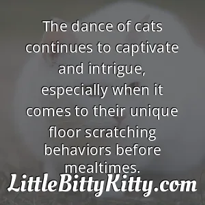 The dance of cats continues to captivate and intrigue, especially when it comes to their unique floor scratching behaviors before mealtimes.