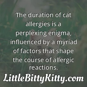The duration of cat allergies is a perplexing enigma, influenced by a myriad of factors that shape the course of allergic reactions.