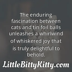 The enduring fascination between cats and tin foil balls unleashes a whirlwind of whiskered joy that is truly delightful to behold.