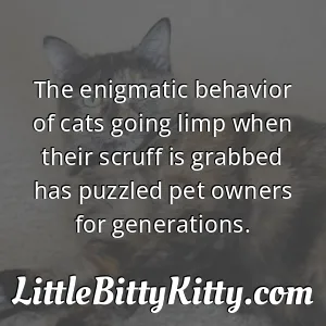 The enigmatic behavior of cats going limp when their scruff is grabbed has puzzled pet owners for generations.