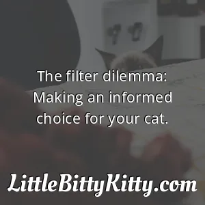 The filter dilemma: Making an informed choice for your cat.