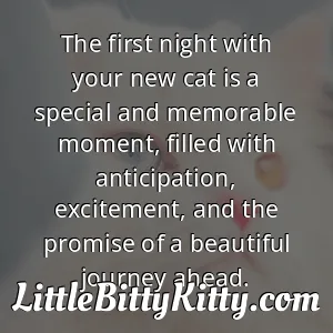 The first night with your new cat is a special and memorable moment, filled with anticipation, excitement, and the promise of a beautiful journey ahead.