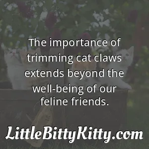 The importance of trimming cat claws extends beyond the well-being of our feline friends.