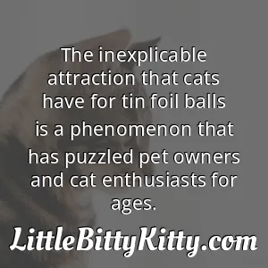 The inexplicable attraction that cats have for tin foil balls is a phenomenon that has puzzled pet owners and cat enthusiasts for ages.