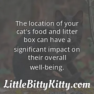The location of your cat's food and litter box can have a significant impact on their overall well-being.