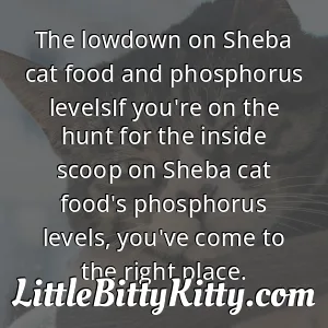 The lowdown on Sheba cat food and phosphorus levelsIf you're on the hunt for the inside scoop on Sheba cat food's phosphorus levels, you've come to the right place.