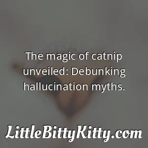 The magic of catnip unveiled: Debunking hallucination myths.
