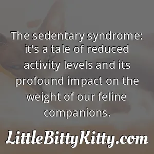 The sedentary syndrome: it's a tale of reduced activity levels and its profound impact on the weight of our feline companions.