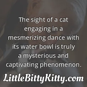 The sight of a cat engaging in a mesmerizing dance with its water bowl is truly a mysterious and captivating phenomenon.