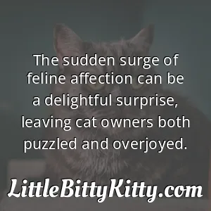 The sudden surge of feline affection can be a delightful surprise, leaving cat owners both puzzled and overjoyed.