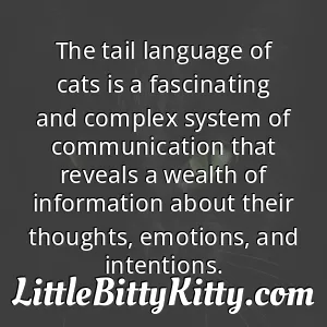 The tail language of cats is a fascinating and complex system of communication that reveals a wealth of information about their thoughts, emotions, and intentions.