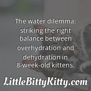 The water dilemma: striking the right balance between overhydration and dehydration in 8-week-old kittens.