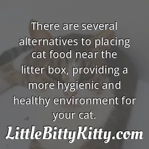 There are several alternatives to placing cat food near the litter box, providing a more hygienic and healthy environment for your cat.