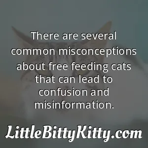 There are several common misconceptions about free feeding cats that can lead to confusion and misinformation.