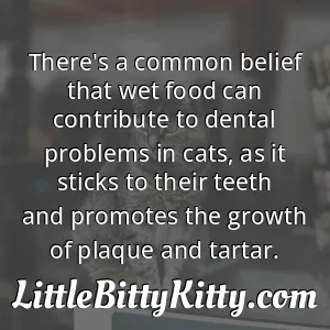 There's a common belief that wet food can contribute to dental problems in cats, as it sticks to their teeth and promotes the growth of plaque and tartar.