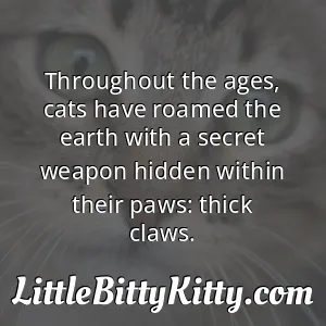 Throughout the ages, cats have roamed the earth with a secret weapon hidden within their paws: thick claws.