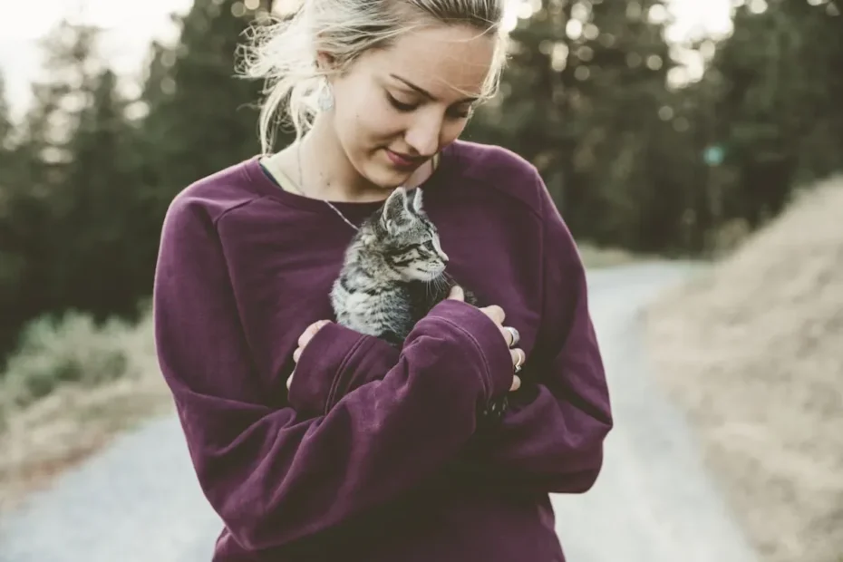 To Vary or Not to Vary? The Truth About Feeding Your Cat the Same Food Every Day