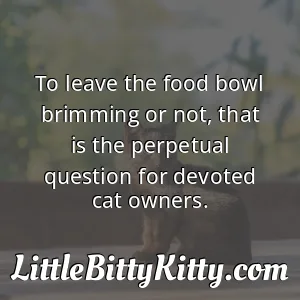 To leave the food bowl brimming or not, that is the perpetual question for devoted cat owners.