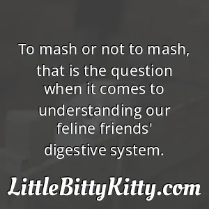 To mash or not to mash, that is the question when it comes to understanding our feline friends' digestive system.