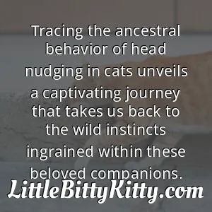 Tracing the ancestral behavior of head nudging in cats unveils a captivating journey that takes us back to the wild instincts ingrained within these beloved companions.