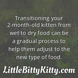 Transitioning your 2-month-old kitten from wet to dry food can be a gradual process to help them adjust to the new type of food.