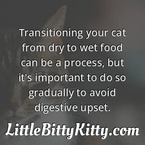 Transitioning your cat from dry to wet food can be a process, but it's important to do so gradually to avoid digestive upset.