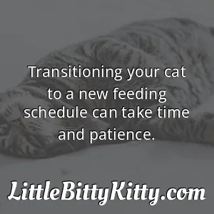 Transitioning your cat to a new feeding schedule can take time and patience.