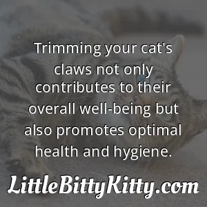 Trimming your cat's claws not only contributes to their overall well-being but also promotes optimal health and hygiene.