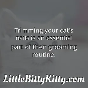 Trimming your cat's nails is an essential part of their grooming routine.