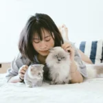 Tuna Water for Cats: Hydration Boost or Hype?