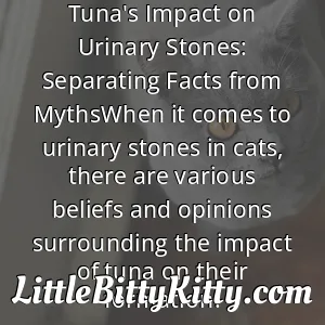 Tuna's Impact on Urinary Stones: Separating Facts from MythsWhen it comes to urinary stones in cats, there are various beliefs and opinions surrounding the impact of tuna on their formation.