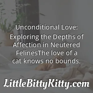 Unconditional Love: Exploring the Depths of Affection in Neutered FelinesThe love of a cat knows no bounds.