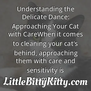 Understanding the Delicate Dance: Approaching Your Cat with CareWhen it comes to cleaning your cat's behind, approaching them with care and sensitivity is paramount.