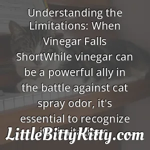 Understanding the Limitations: When Vinegar Falls ShortWhile vinegar can be a powerful ally in the battle against cat spray odor, it's essential to recognize its limitations.