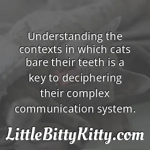 Understanding the contexts in which cats bare their teeth is a key to deciphering their complex communication system.
